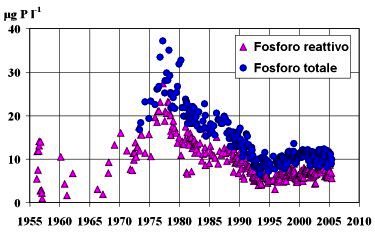 Fig. 1.	Lago Maggiore: andamento delle concentrazioni di fosforo reattivo e totale dal 1956 al 2004 (valori medi dalla superficie al fondo nella stazione di massima profondit).